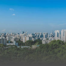 City seen from a hill on a sunny day