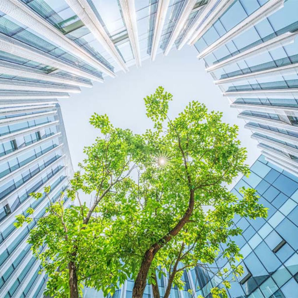 A tree in front of a building.