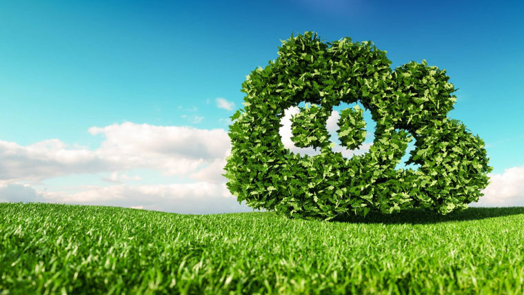 A graphic of a field with a bush containing the letters CO2