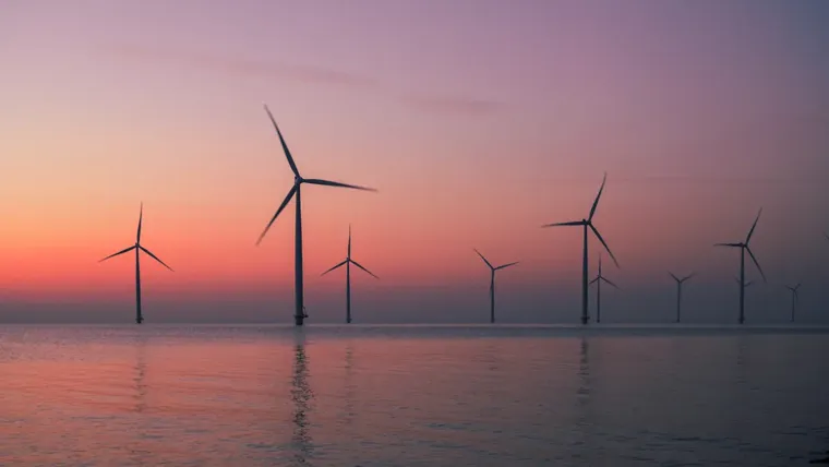 A group of wind turbines in a body of water.