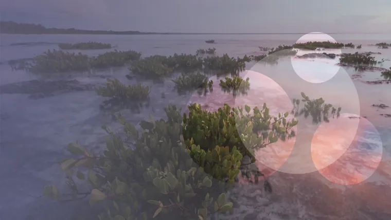 A body of water with land in the back.