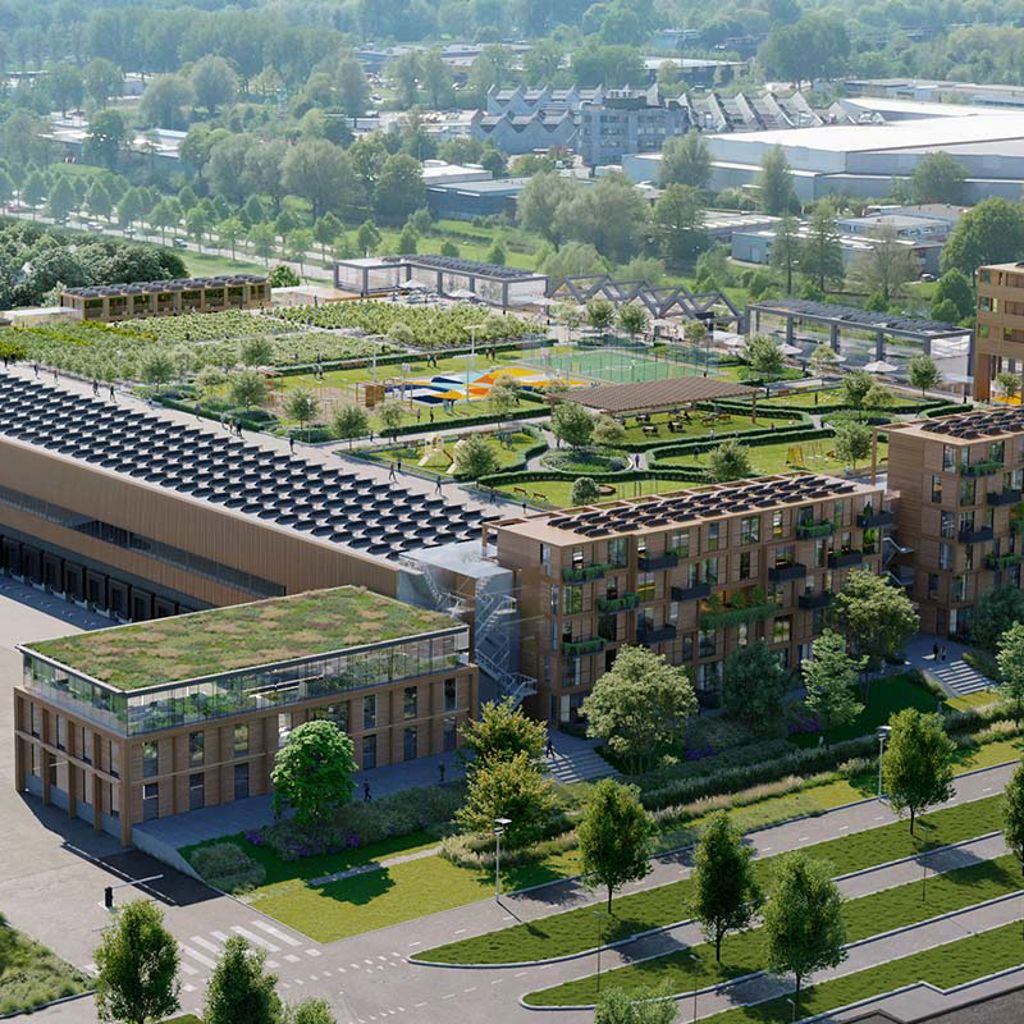 Warehouse of the future