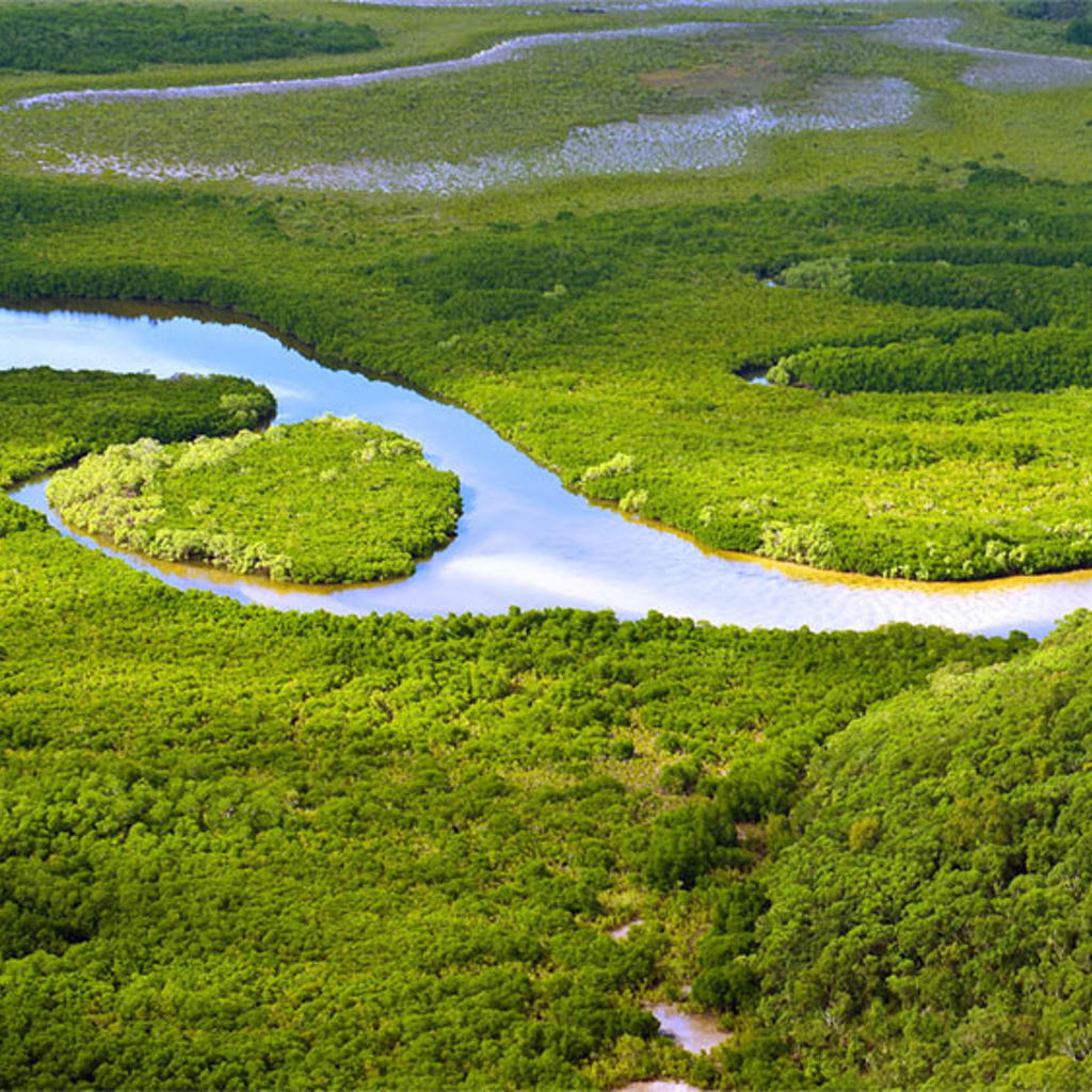 River meandering and surrounded by greenery