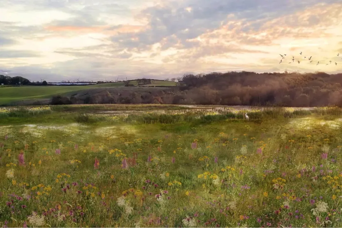 A visualisation of a field of flowers.