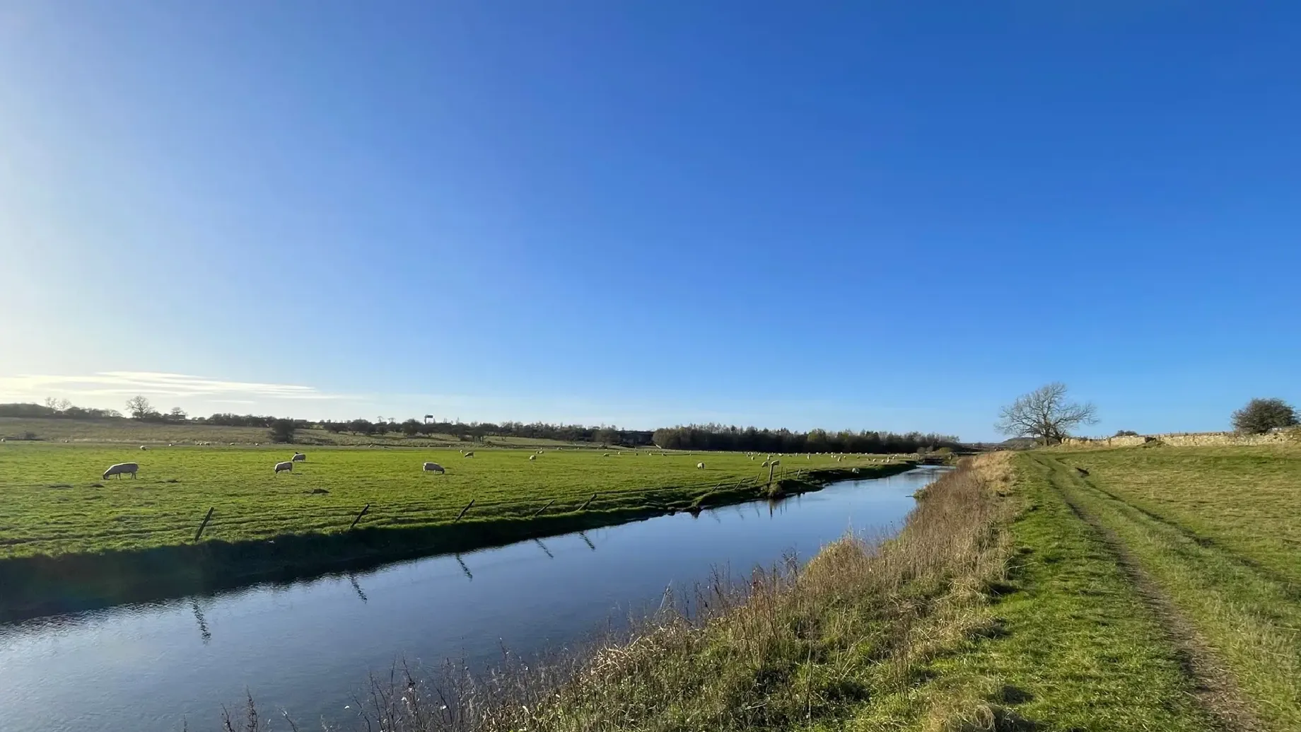 A stream of water with grass and trees around it.