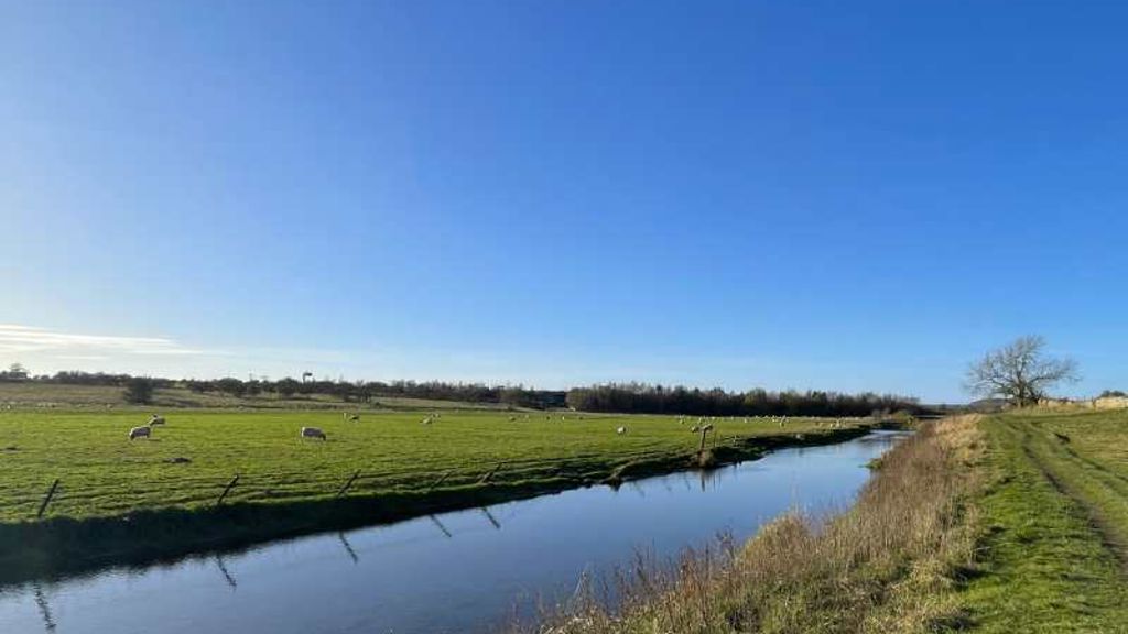 A body of water with grass and trees around it.