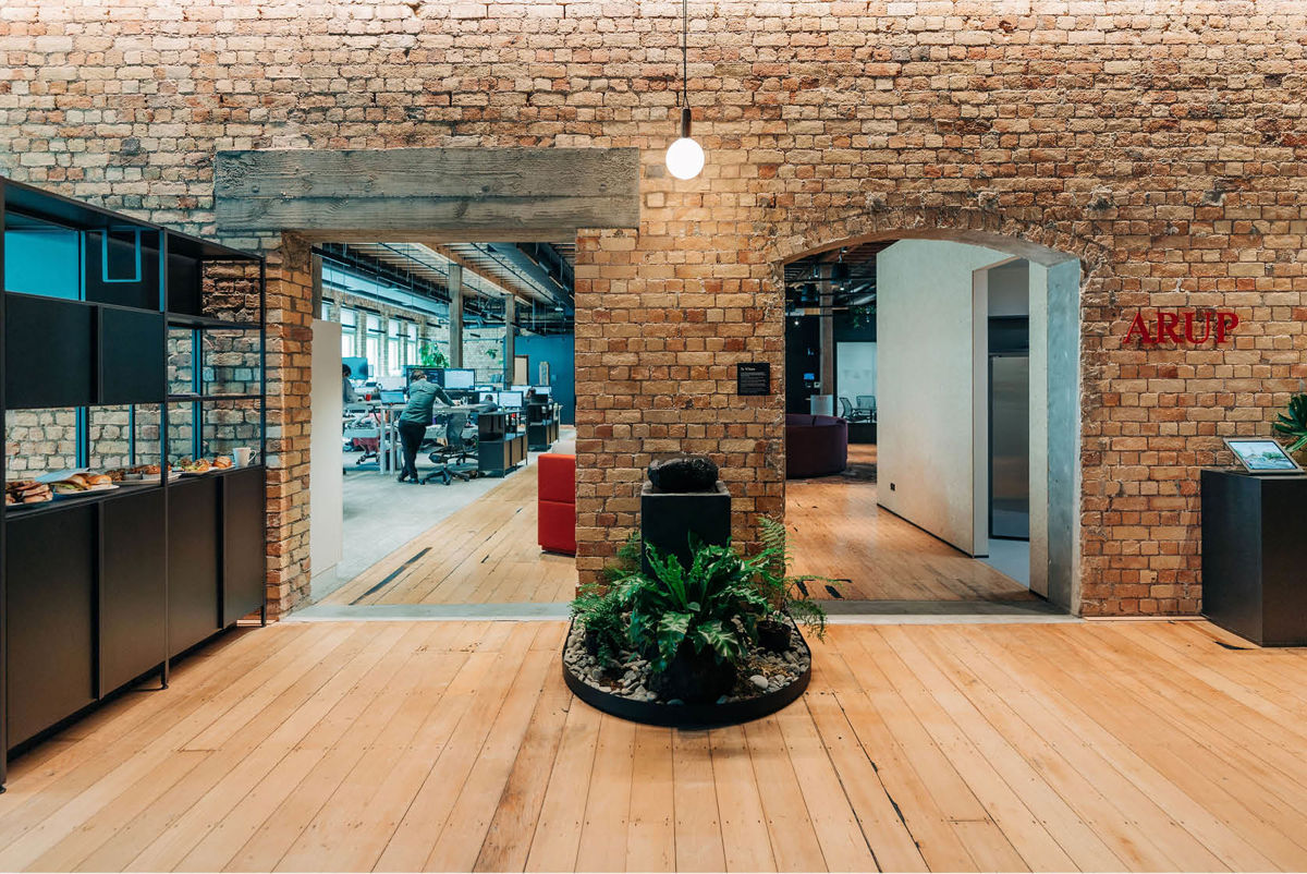 Modern workspace with natural light, open spaces and plants. Credit: All Good Media