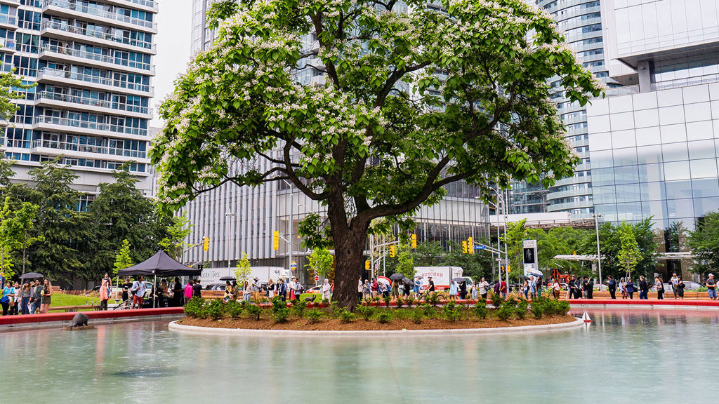 Love park, Toronto