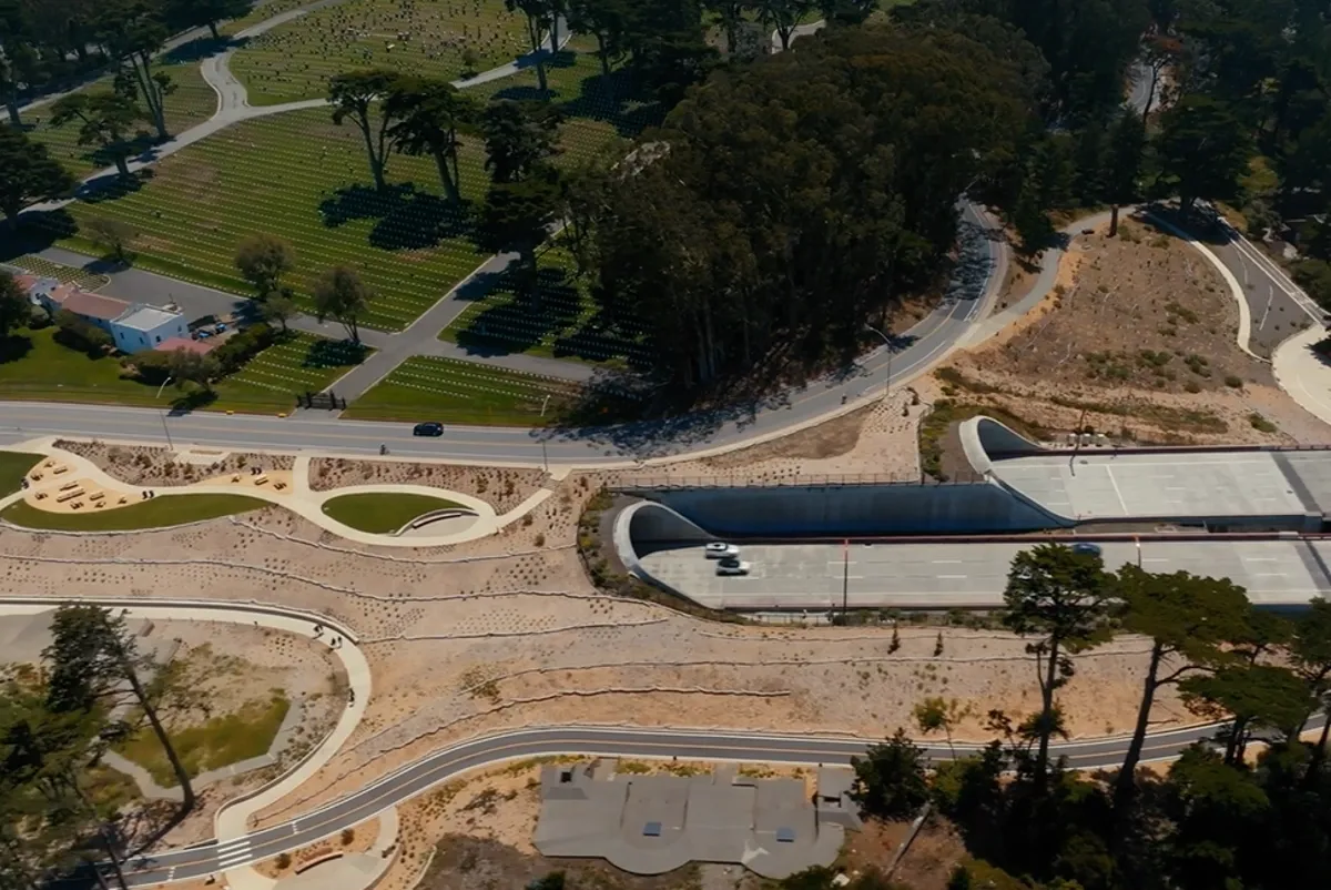 Side view of Presidio Parkway