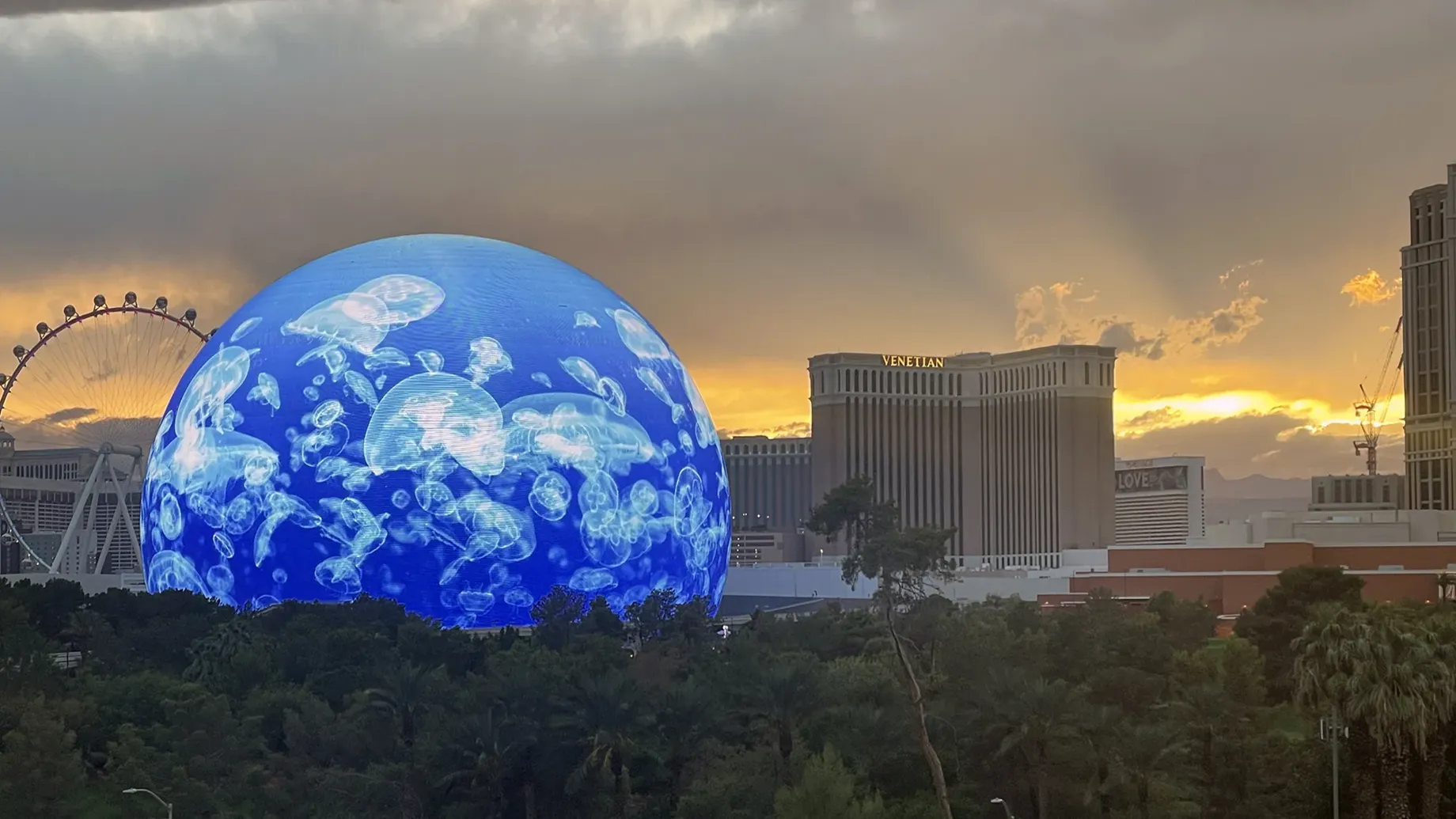A large globe with blue jellyfish projected on it in front of a city.