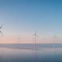 A group of wind turbines in a body of water.