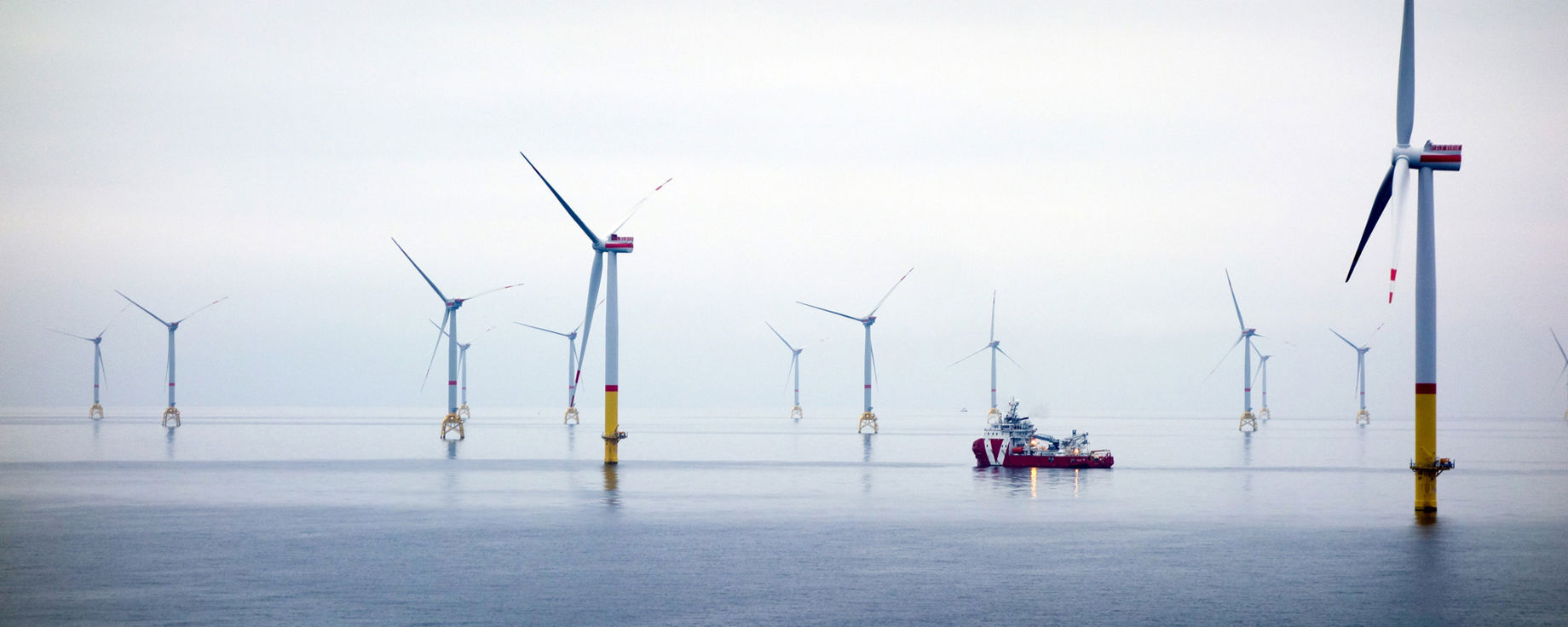 An offshore wind farm