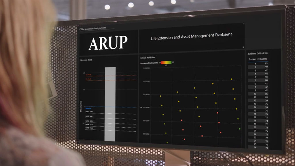 A person using Arup software on a computer