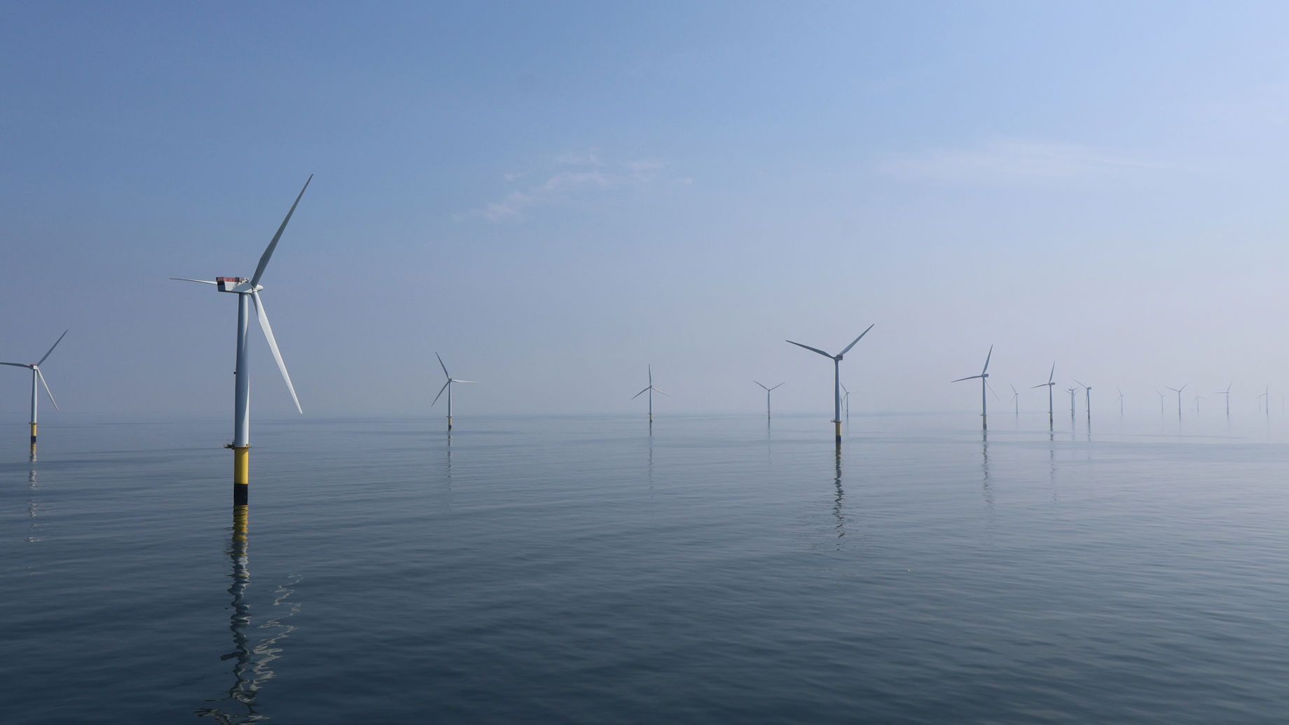 An offshore wind farm